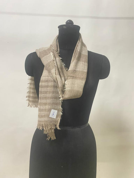 Pashmina Scarfs & Mufflers DRA101SC