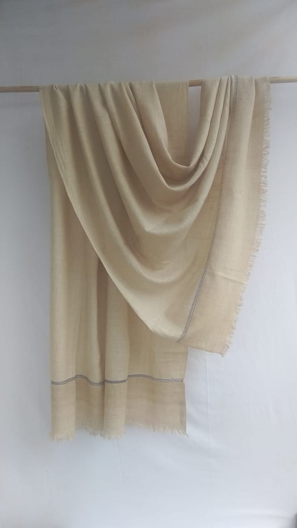 Pashmina Shawl BH-26-SH-21-22