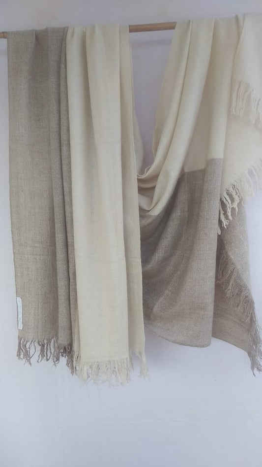 Pashmina Shawl BH-76-SH-22-23