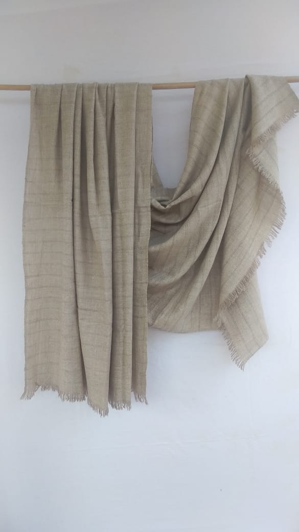 Pashmina Shawl BH-86-SH-22-23