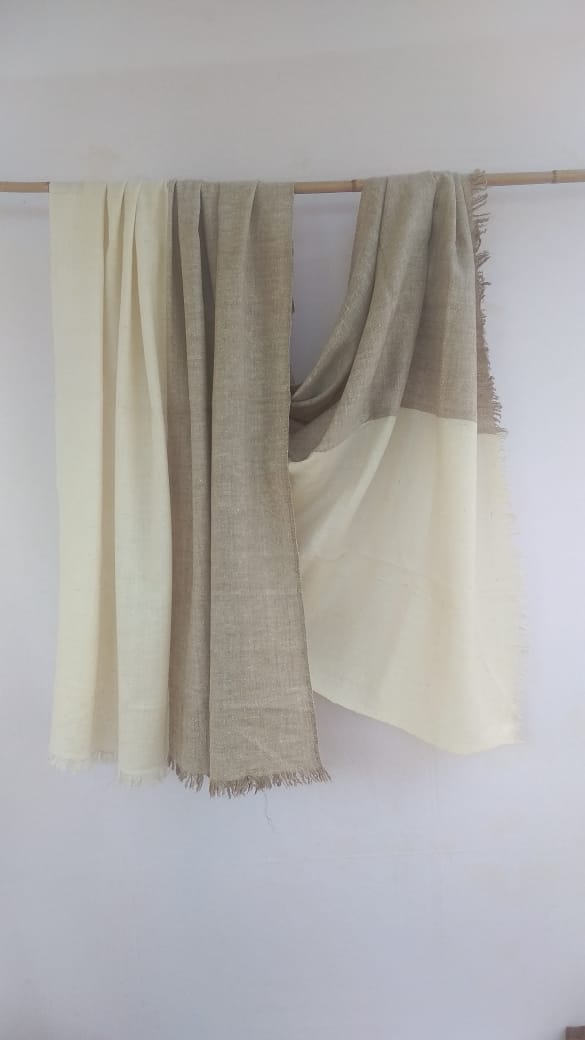 Pashmina Shawl BH-11-SH-22-23