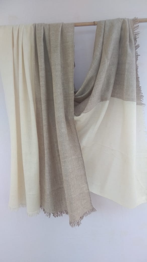 Pashmina Shawl BH-11-SH-22-23