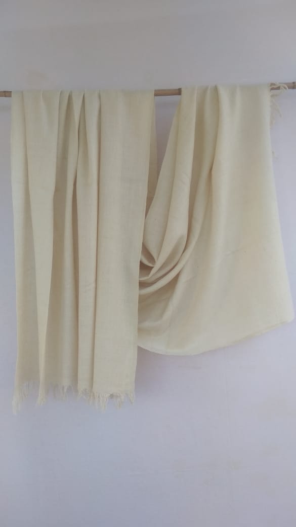 Pashmina Shawl BH-53-SH-22-23