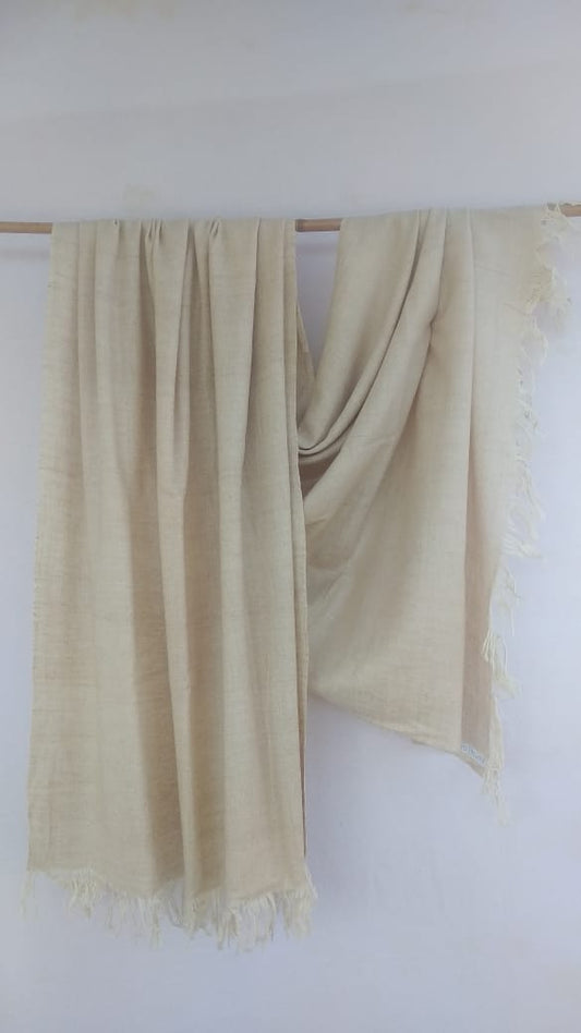 Pashmina Shawl BH-56-SH-22-23