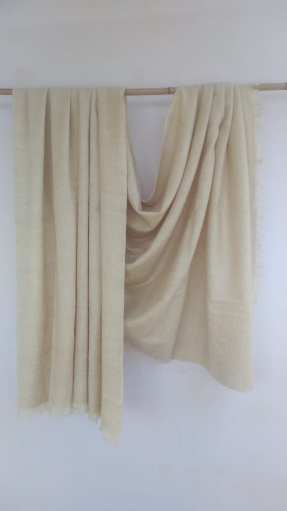 Pashmina Shawl BH-51-SH-22-23