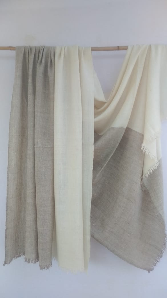 Pashmina Shawl BH-12-SH-22-23