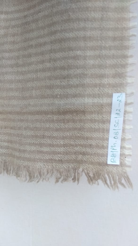 Pashmina Scarfs & Mufflers BH-PH-08-SC-22-23