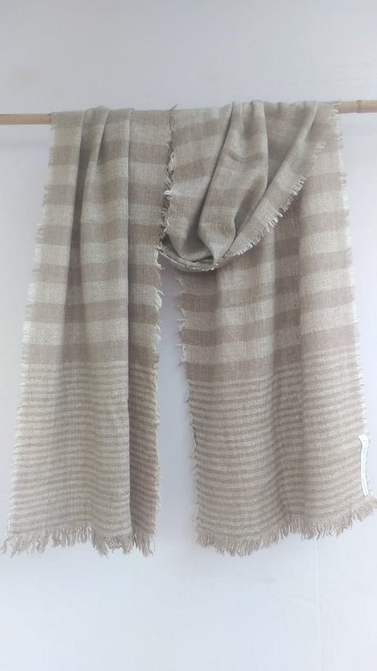 Pashmina Scarfs & Mufflers BH-PH-08-SC-22-23