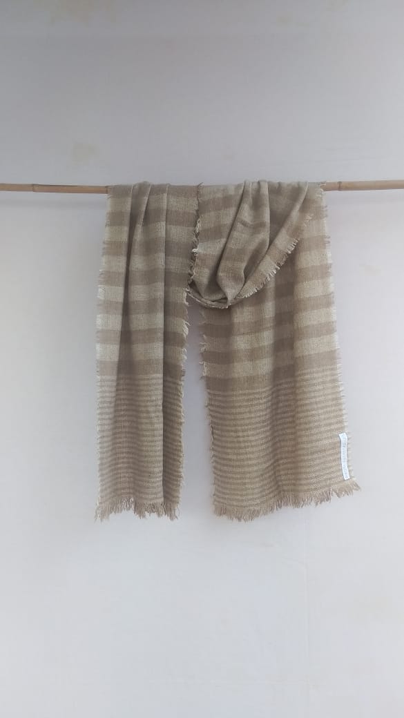 Pashmina Scarfs & Mufflers BH-PH-05-SC-22-23