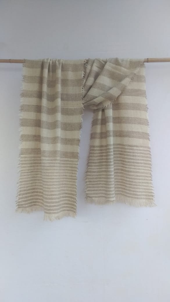 Pashmina Scarfs & Mufflers BH-PH-05-SC-22-23