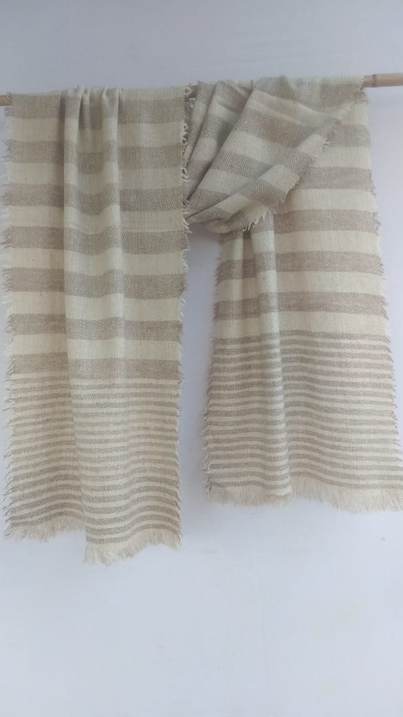 Pashmina Scarfs & Mufflers BH-PH-05-SC-22-23