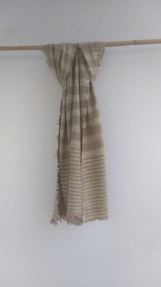 Pashmina Scarfs & Mufflers BH-PH-10-SC-22-23