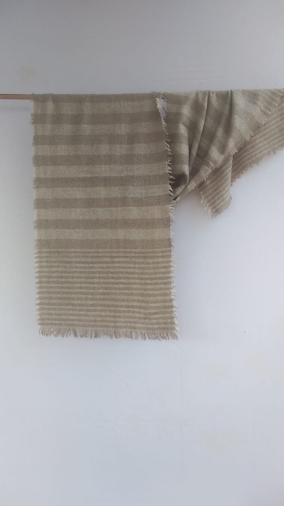 Pashmina Scarfs & Mufflers BH-PH-10-SC-22-23