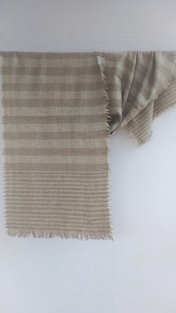 Pashmina Scarfs & Mufflers BH-PH-10-SC-22-23