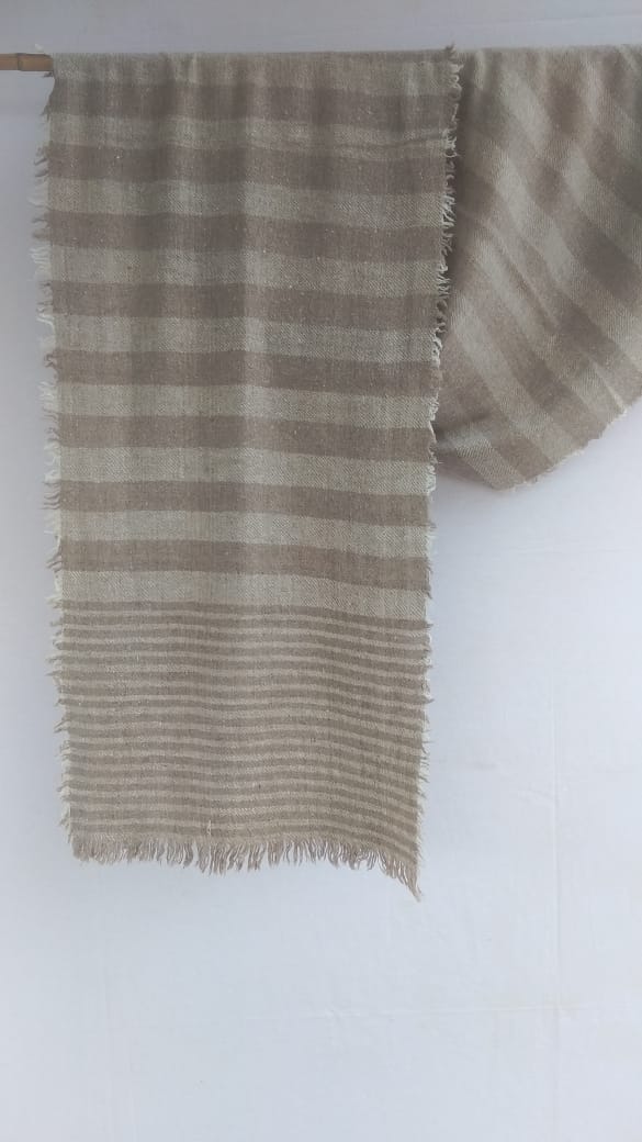 Pashmina Scarfs & Mufflers BH-PH-06-SC-22-23