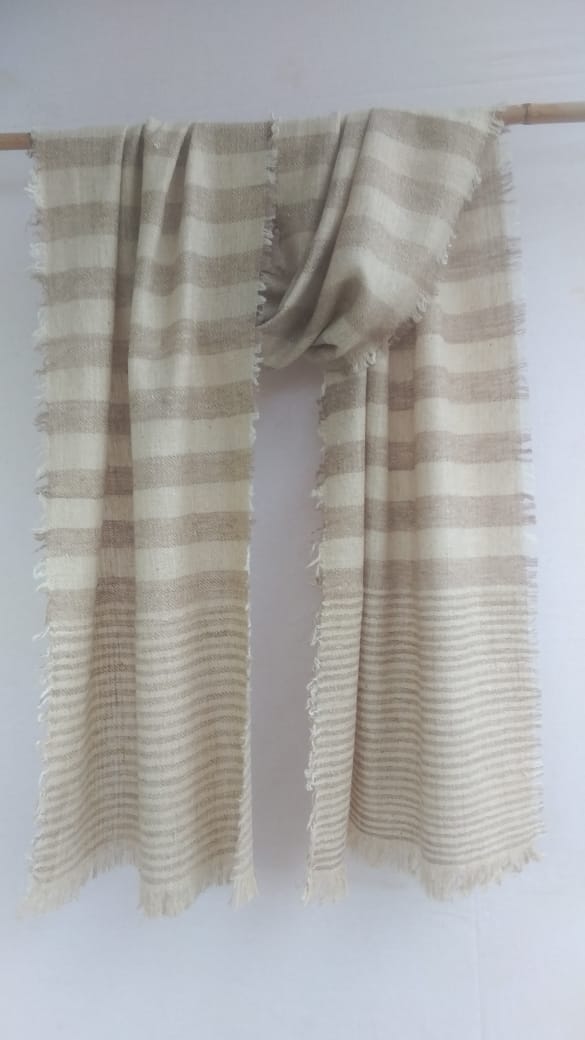 Pashmina Scarfs & Mufflers BH-PH-02-SC-22-23